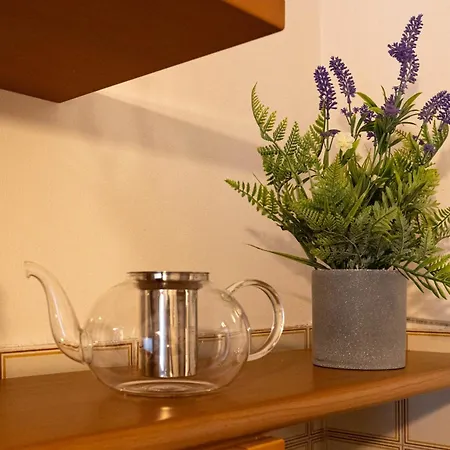Sweet Dreams Apartment Con Terrazzo E Ascensore